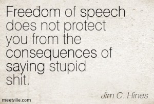 Quotation-Jim-C-Hines-freedom-stupidity-speech-consequences-saying-Meetville